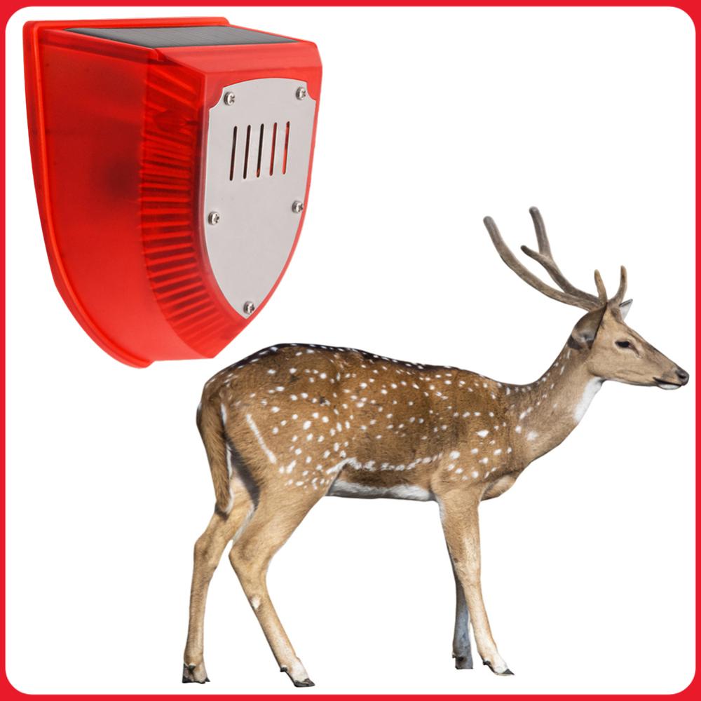 Zewnętrzny alarm solarny, wodo – Barking Dog Alarm recenzja i cena